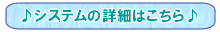 �V�X�e���ڍ�